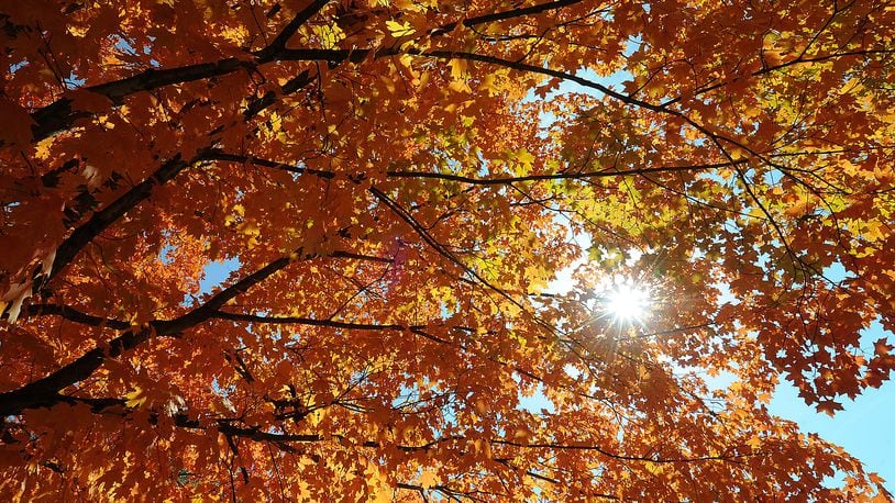 The sun shines through the beautiful fall leaves at Thomas A. Cloud Memorial Park in Huber Heights Tuesday Oct. 11, 2022. MARSHALL GORBY\STAFF