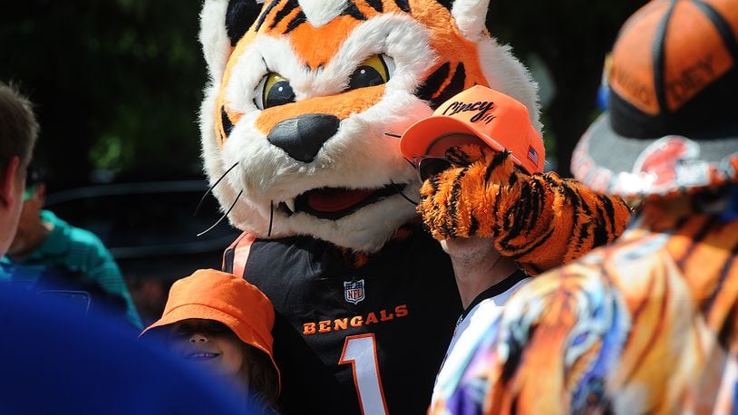 Who Dey, the Bengals mascot mingles with fans outside Day Air Ballpark Wednesday, June 14, 2023, in Dayton before the start of the Logan Wilson Celebrity Softball Game presented by Kettering Health. MARSHALL GORBY\STAFF