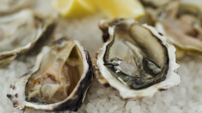 Oyster Fest returns to Lily's Bistro for the third year