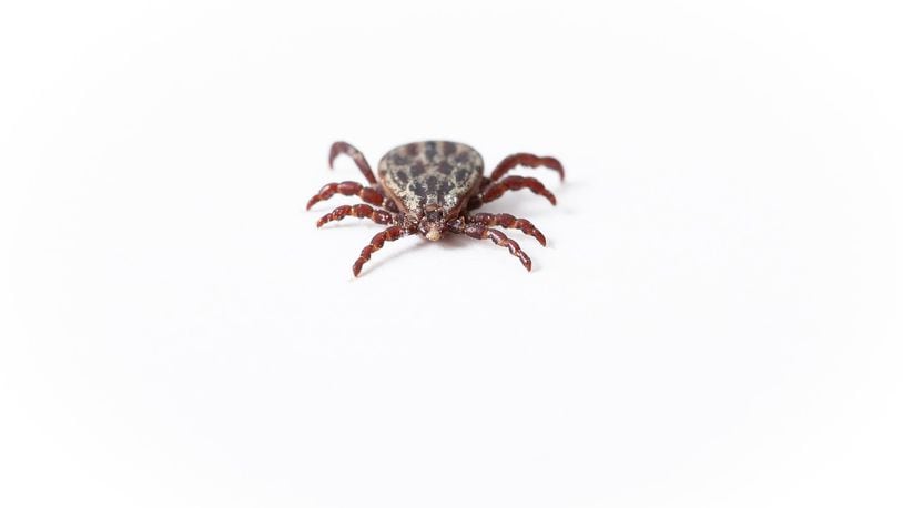 The Laboratory of Medical Zoology at the University of Massachusetts Amherst is offering tick testing for $15 per tick. The university says it’s a good way to see if the tick that bit you is carrying any diseases, like Lyme disease.