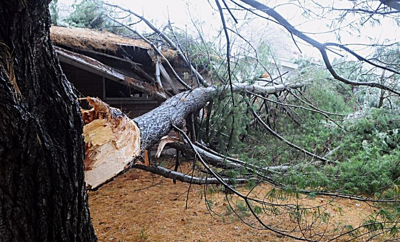 PHOTOS: Ice causes downed trees, other damage