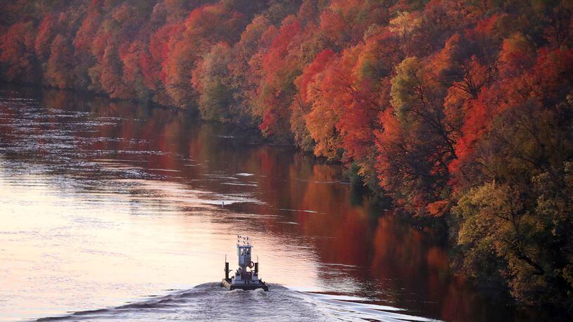 The fall colors along the Mississippi River are near peak as a small tug boat heads up river, seen from the Franklin Avenue Bridge in Minneapolis on Tuesday, Oct. 17, 2017. (David Joles/Minneapolis Star Tribune/TNS)