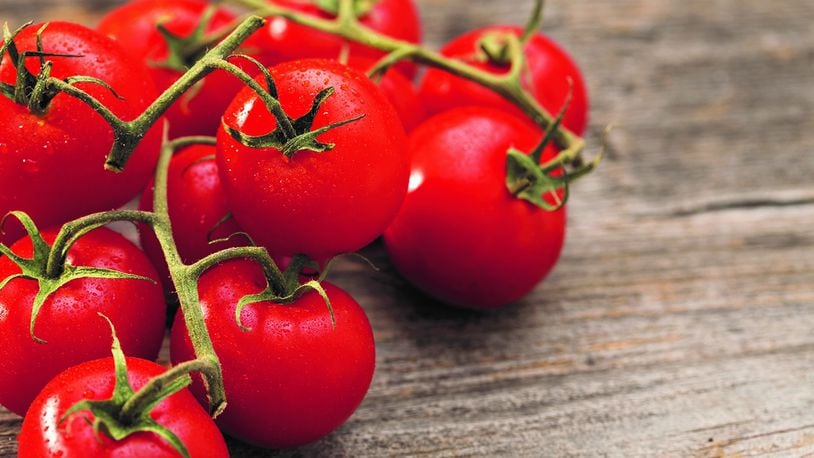 Tomatoes are a healthy addition to anyone's diet, regardless of where they stand on the fruit or vegetable debate.