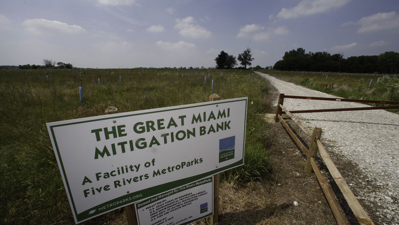 The Great Miami Mitigation Bank allows businesses looking to build or expand in the Miami Valley the option to purchase conservation credits toward restoring the 364-acre area near Trotwood containing a wetland, forested wetland and prairie. CHRIS STEWART / STAFF