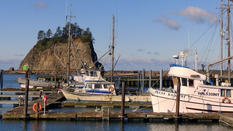A marina provides sanctuary for ocean-going fishing boats at the mouth of the Quillayute River, in La Push. (BRIAN J. CANTWELL/SEATTLE TIMES/TNS)