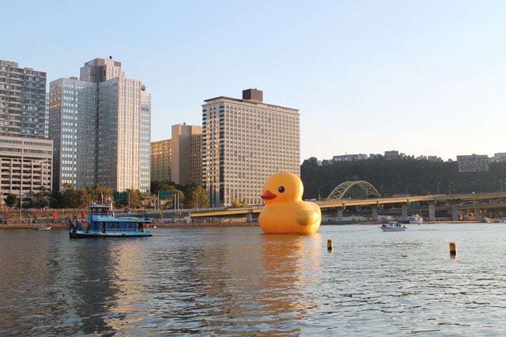Rubber duck arrives in Pittsburgh