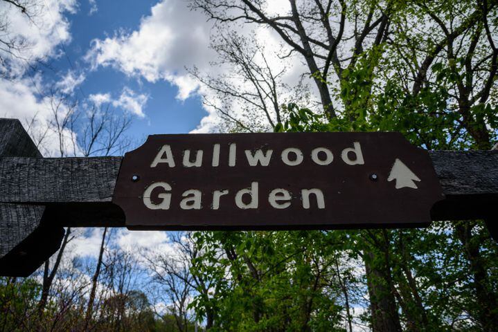 PHOTOS: Gorgeous Aullwood Garden is in full bloom