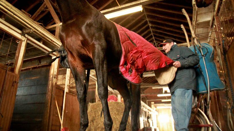 Tom Horner, a horse trainer at the Montgomery County Fairgrounds, changes the blanket on one of his horses in the barn to keep him warm during a cold snap. File photo