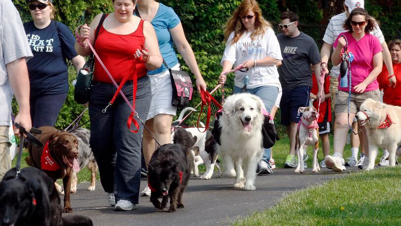 SICSA’s annual Walk for Strays event in Kettering.