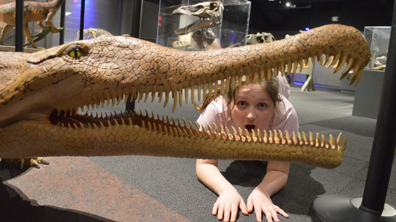 Bella Burns of Kettering checks out the Boonshoft Museum of Discovery’s new dino exhibit. CONTRIBUTED/KRISTY CREEL