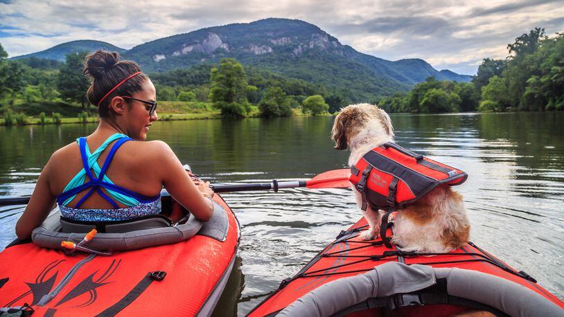 A dog and her owner work up an appetite kayaking outside of Asheville’s city limits. (Courtesy ExploreAsheville.com)
