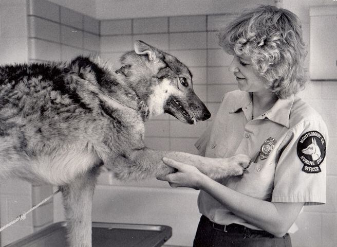 Photos: Humane Society of Greater Dayton through the years