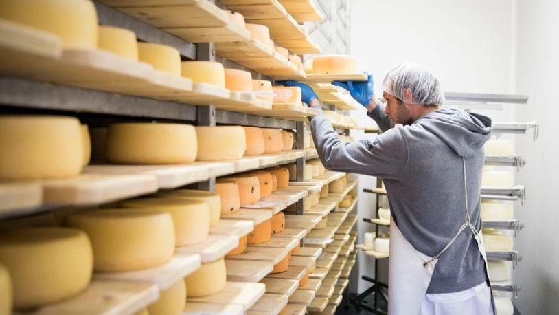 The United States is enjoying its largest surplus of cheese since records began in 1917.