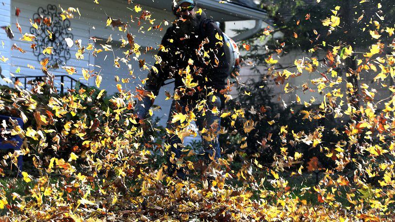 Doug Clowell, an employee of Smith & Sons Lawn and Landscaping, takes advantage of the sunny weather Nov. 5 to clean up some leaves in a Springfield customer's yard.  BILL LACKEY/STAFF