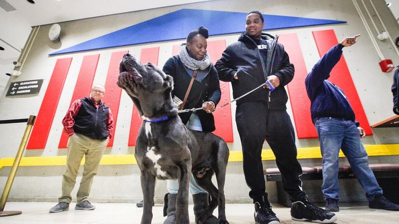 Montgomery County’s No. 1 dog license issued this year went to Duke, a cane corso feared lost but reunited with his owners Semico and Anthony Harden more than four months after they were separated by a Memorial Day tornado. The dog and its owners from Trotwood are seen at an event Wednesday promoting the sale of 2020 dog tags, which go up in cost after Jan. 31. CHRIS STEWART/STAFF