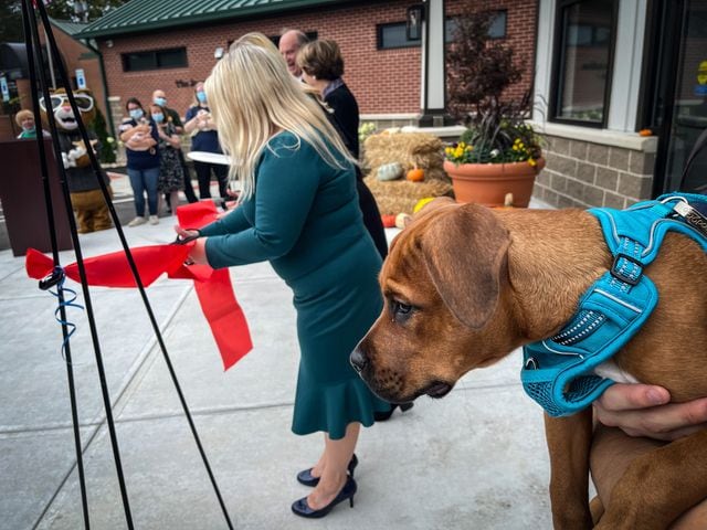 Humane Society of Greater Dayton opens $6M expansion
