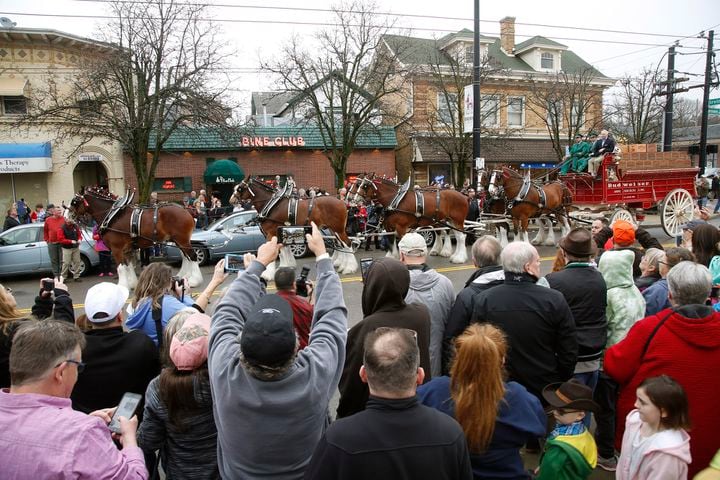 PHOTOS: The Budweiser Clydesdales are in Dayton