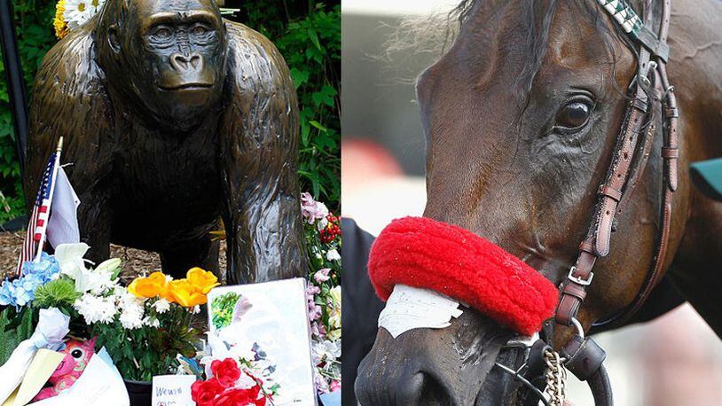 Statue of Harambe (right), horse at Churchill Downs before Kentucky Derby (Left). Getty Images. (Photo: Cox Media Group)