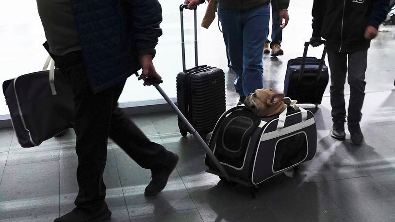 FILE - A traveler pulls his dog in a wheeled carrier at the Benito Juarez International Airport in Mexico City, Wednesday, Dec. 21, 2022. If you are bringing a dog into the U.S. — whether if you are returning from a trip overseas with Rover, visiting the U.S., or adopting a dog from abroad — you have to follow a set of new rules released by the Centers for Disease Control and Prevention on Wednesday, May 8, 2024, designed to help prevent the spread of rabies. (AP Photo/Marco Ugarte, File)