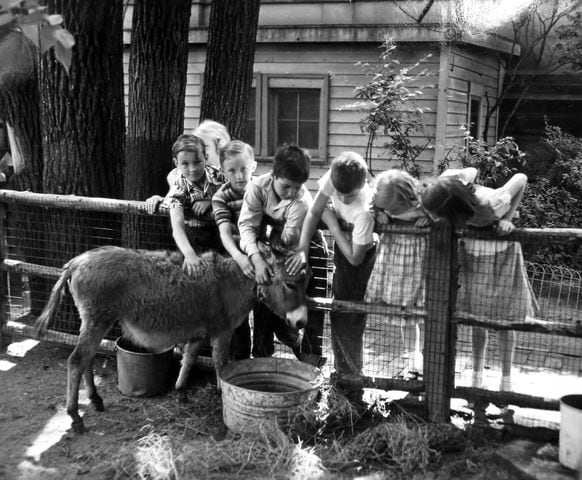 Dayton Art Institute's petting zoo