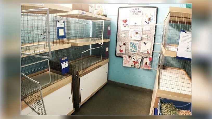 There are lots of empty enclosures nowadays at the Humane Society o Greater Dayton main shelter these days. (Contributed)