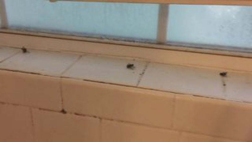 Cathedral Campbell, a Georgia resident, said her apartment is crawling with bugs and has what she calls the smell of death.