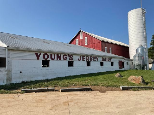 Young’s Jersey Dairy