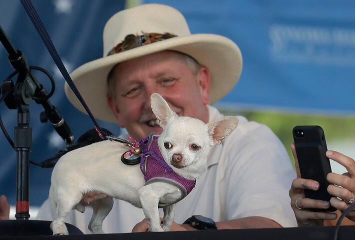 Photos: Zsa Zsa the English bulldog wins World's Ugliest Dog Contest