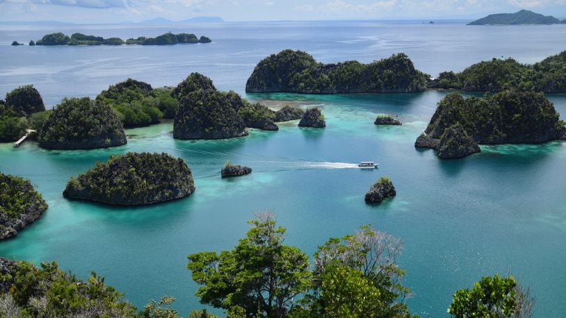 The overlook atop Pianemo Hill, in the Fam Islands group, offers one of the most iconic views in Raja Ampat. (Mark Johanson/Chicago Tribune/TNS)