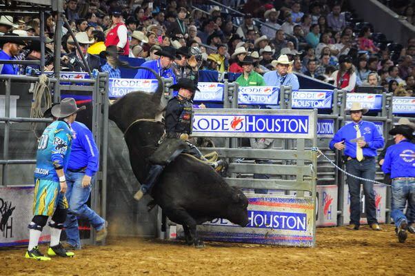Bull Riding @RodeoHouston
