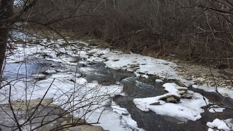 “Is it winter or summer?,” asks Washington Twp. resident Judith Keegans, who took this photo at Grant Park in Dayton’s south suburbs. This photo was taken on Feb. 4, the first day of the Winter Woods Day Camp, showing Holes Creek looking like it should in winter.