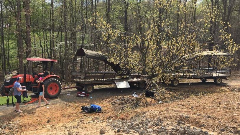 A massive tree crashed on a wagon injuring five people Saturday. (Photo: WSOCTV.com)