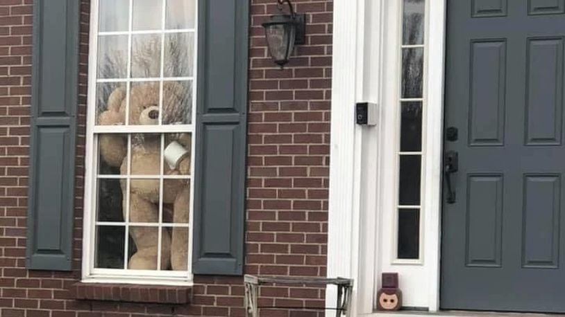 A bear spotted in the Dayton-area as a part of the Bear Hunt craze. CONTRIBUTED