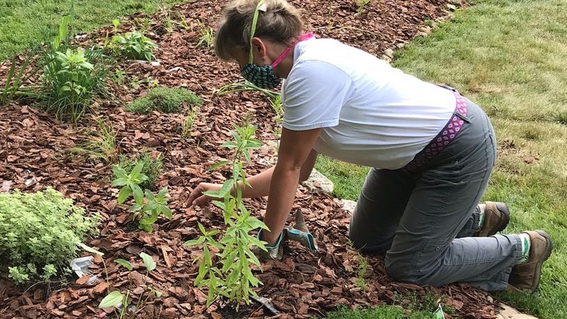 Kara Maynard of Deeply Rooted Landscapes works on a native garden installation project. CONTRIBUTED