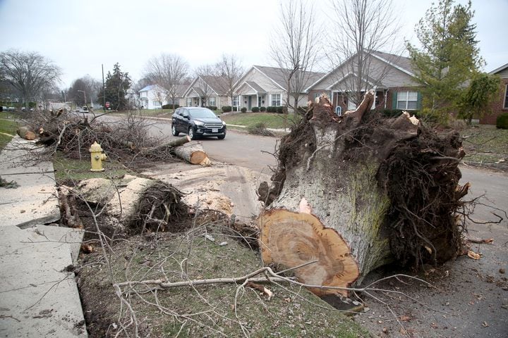 PHOTOS: Lost roof tops and splintered trees, Troy begins tornado cleanup