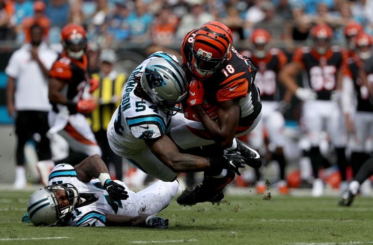 PHOTOS: Cincinnati Bengals vs. Carolina Panthers