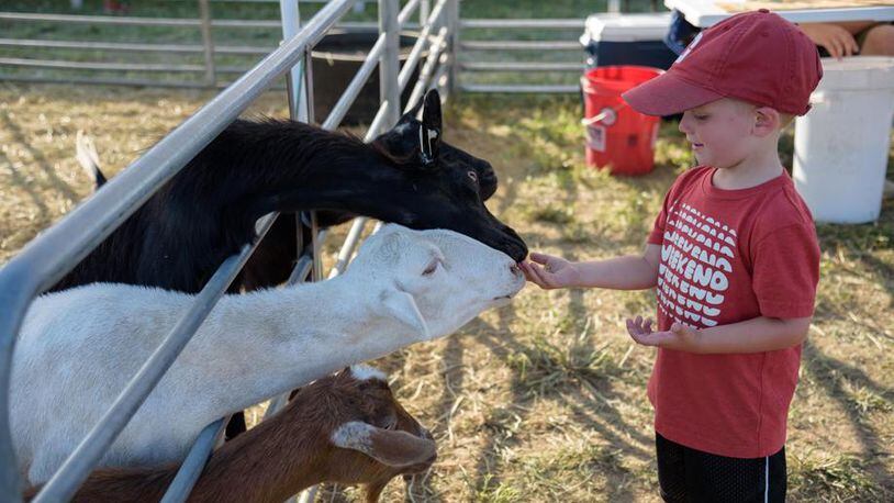 A boy feeds goats at the Montgomery County Fair in 2018, the first year the fair was at its new fairgronds home. CONTRIBUTED BY TOM GILLIAM