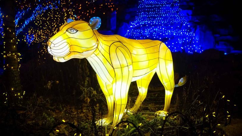 Scenes fromt the Cincinnati Zoo and Botanical Garden 37th annual Festival of Lights. GREG LYNCH / STAFF