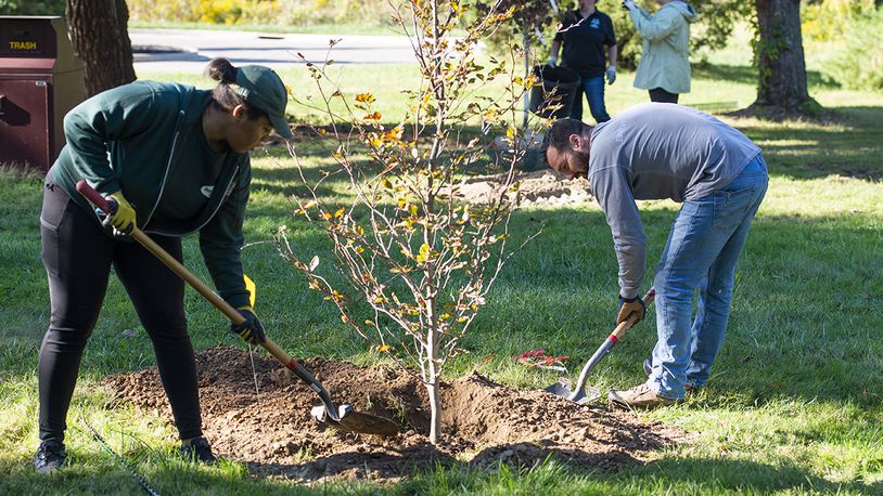Jasmine Pierce, an Ohio Department of Natural Resources intern, and Adam Yankush, a Wright-Patterson Air Force Base volunteer, plant a new tree Oct. 1 at the Wright Brothers Memorial. WPAFB and ODNR teamed up to plant 26 trees at the memorial for National Public Lands Day. U.S. AIR FORCE PHOTO/WESLEY FARNSWORTH