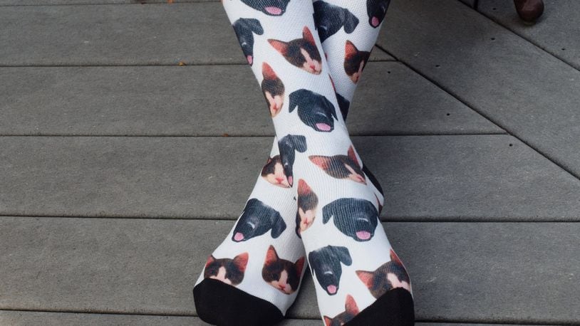 A perfect pair of pet socks. KARIN SPICER