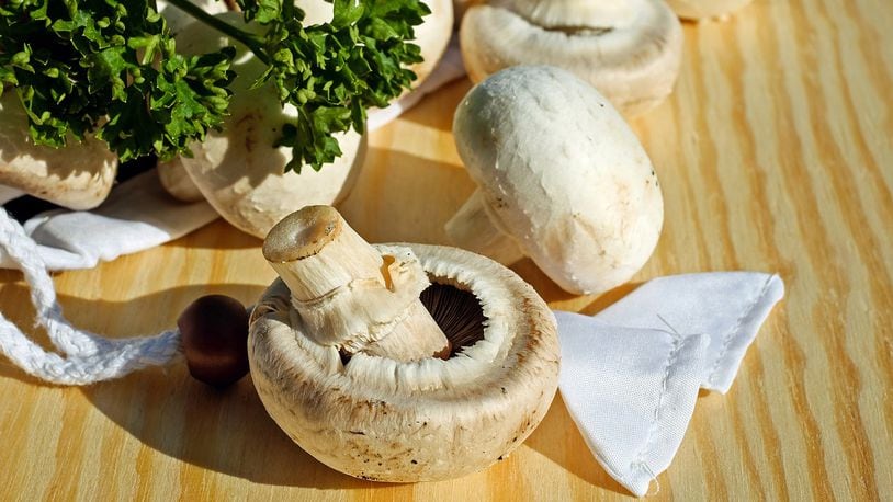 Scientists believe mushrooms could help lower the risk of mild cognitive impairment, defined as the  stage between the cognitive decline of normal aging and the more serious decline of dementia.