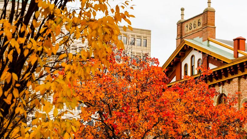 Colorful trees line High Street with the Robinson-Schwenn building as a backdrop in downtown Hamilton. NICK GRAHAM/FILE