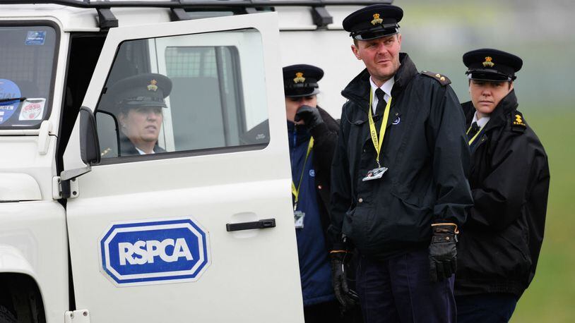 The RSPCA in attendance at Aintree racecourse in Liverpool, England.