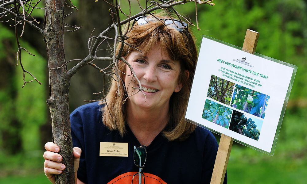 Kerri Miles, environmental education supervisor for the Kettering Parks, Recreation and Cultural Arts department, stands by a Swamp White Oak tree, Wednesday, April 17, 2024. Kettering was selected to represent Montgomery County and plant a special Arbor Day Tree as part of the 75th anniversary celebration of the Ohio Department of Natural Resources. ODNR is planting a tree in each of Ohios 88 counties. MARSHALL GORBY\STAFF