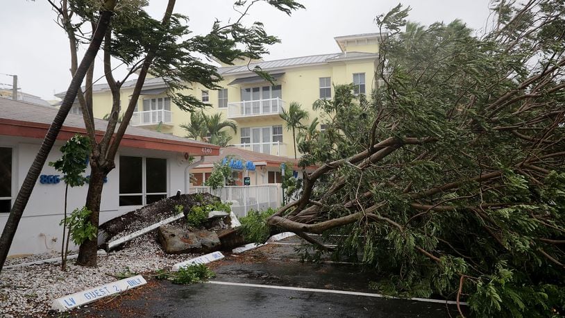 A fallen tree in Florida caused by Hurricane Irma. (Photo by Chip Somodevilla/Getty Images)