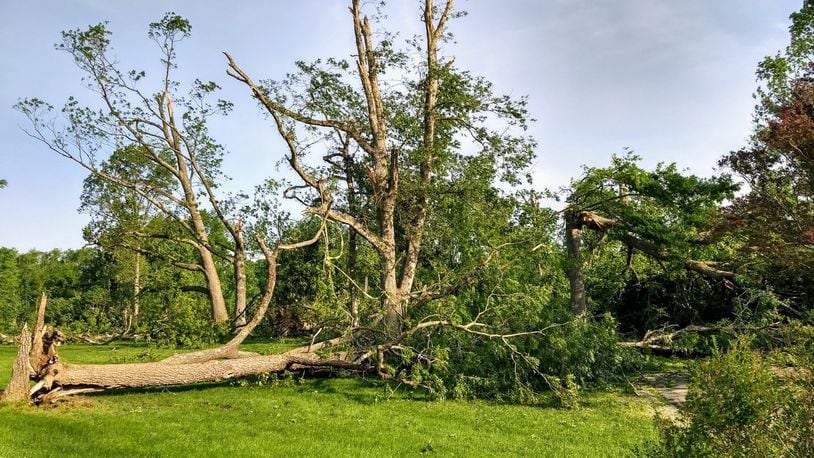 Volunteers gathered Friday, June 21, 2019, to clean up the Russ Nature Reserve in Beavercreek after it was significantly damaged in the Memorial Day tornadoes. LYDIA BICE/STAFF