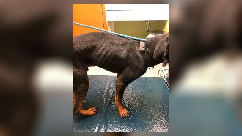 Dollar was found emaciated, locked in his cage without food or water, and was soiled and soaked with his own urine and liquid feces, according to Oxford police. OXFORD POLICE DEPARTMENT