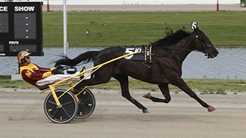 Hannelore Hanover, the 5-year-old mare who is the favorite in Friday night’s Dayton Trotting Derby at Hollywood Dayton Raceway. BRAD CONRAD / CONTRIBUTED