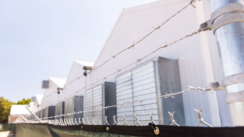 Barred wire encloses a Knox medical marijuana cultivation facility in Florida.