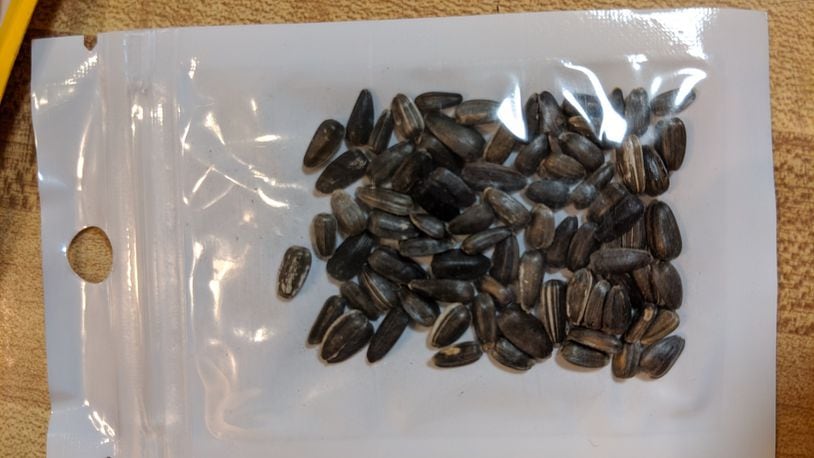 The Better Business Bureau and U.S. Department of Agriculture warned people against planting seeds sent in the mail without being ordered. Photo courtesy the Ohio Department of Agriculture